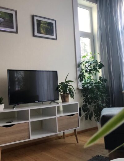 Ferienwohnung Benneckenstein, Ferienwohnung "Stilvoll" | Ferienwohnungen & Ferienapartments Haus Sonnenblick Benneckenstein Harz